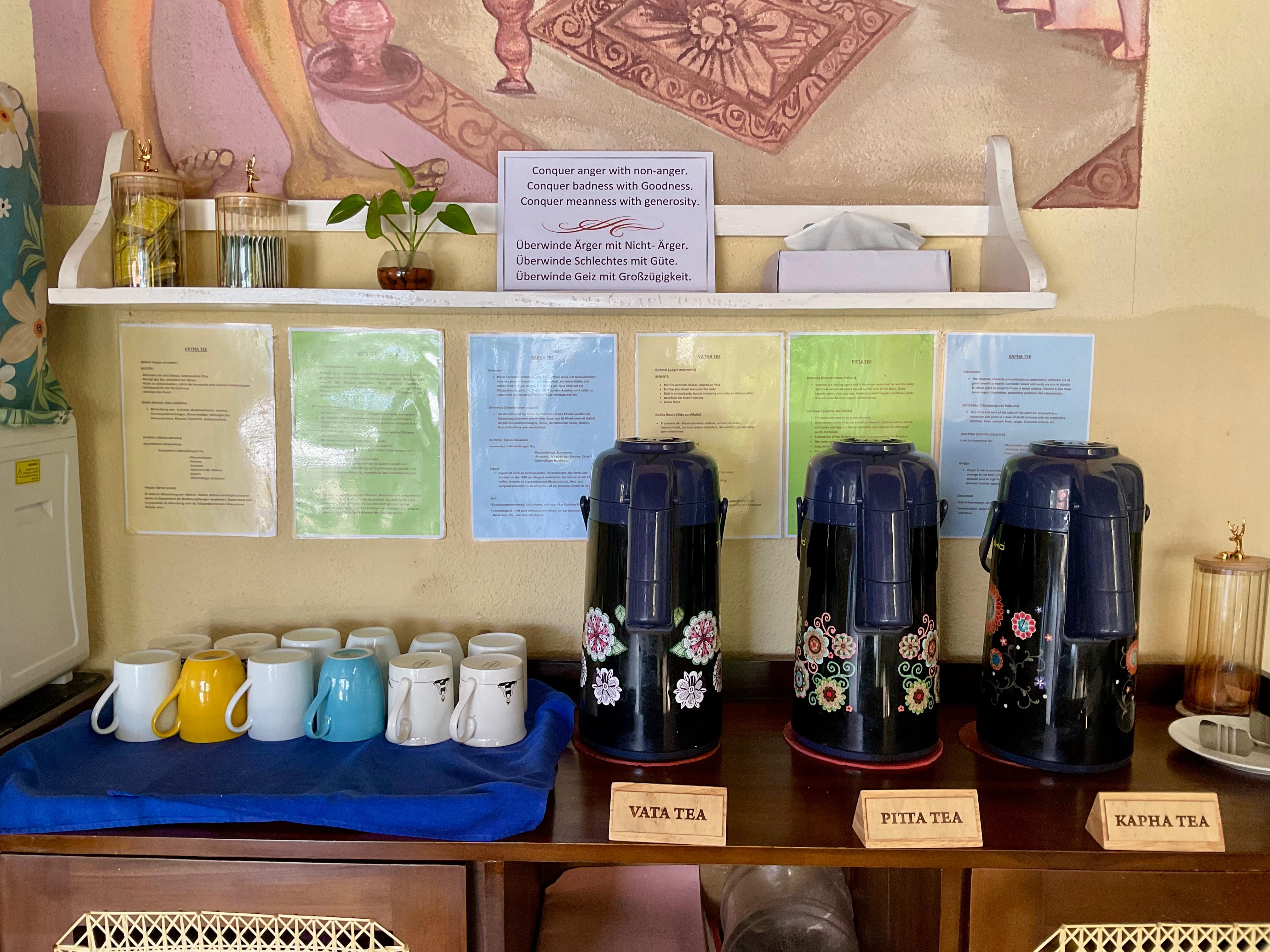 Kulinarisches Erlebnis im Garden Beach Ayurveda Resort